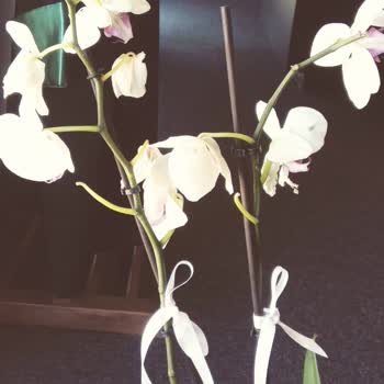 Ciceksepeti'nden Alışveriş Kolay Ama Çalıştığı Çiçekçiler Pişmanlık