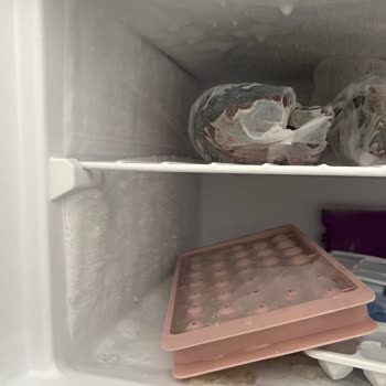 SEG Marka Buzdolabımın Değişimini En