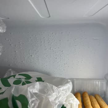 SEG Marka Buzdolabımın Değişimini En