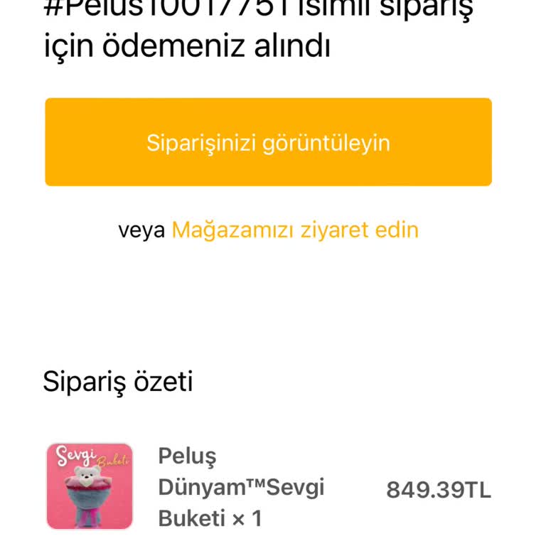 Peluş Dünyam Ürün Teslim Edilmiyor