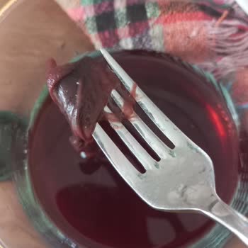 Aroma Meyve Suları Aroma Markalı Vişne Suyunun İçinden Yabancı Madde Çıktı