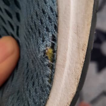Adidas Didn’t Honor the Warranty After My Running Shoes Fell Apart in Less Than a Year