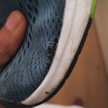 Adidas Didn’t Honor the Warranty After My Running Shoes Fell Apart in Less Than a Year
