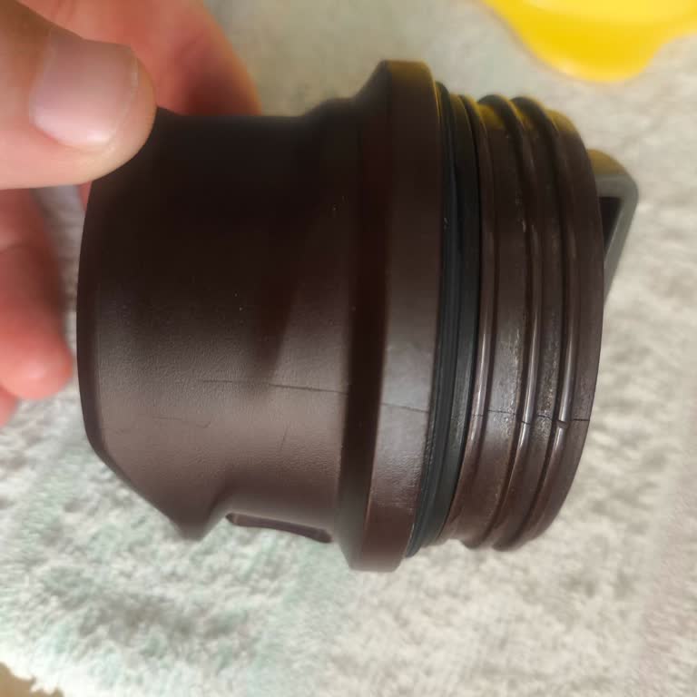 Kutupayısı Stanley Pişmanlıktır Kutup Ayısı İlgisiz Bir Firma