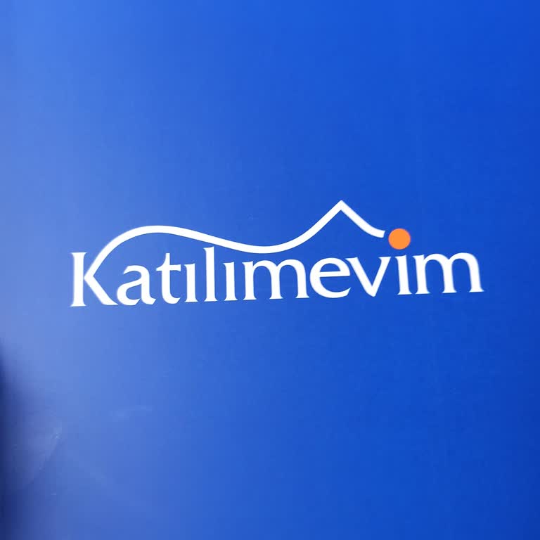 Katılımoto Yalan Beyanat