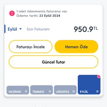 Yurt Dışı Kullanım Ücreti Hatası ve Müşteri Hizmetleri İlgisizliği