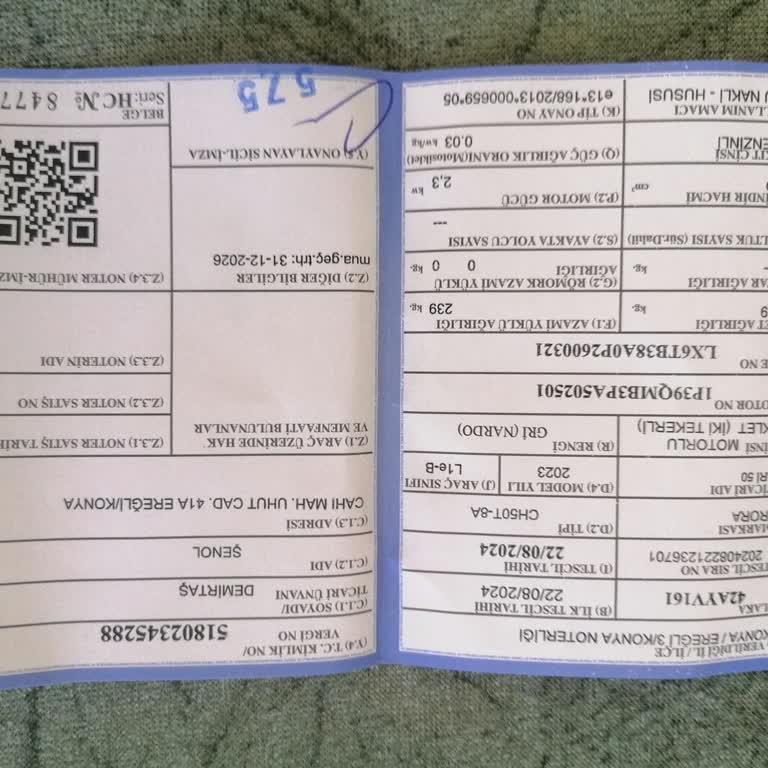 Arora Motor Motor Beyin Hak