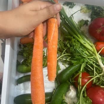 Bosch Buzdolabı Tüm Ürünleri Donduruyor!