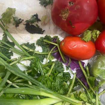 Bosch Buzdolabı Tüm Ürünleri Donduruyor!