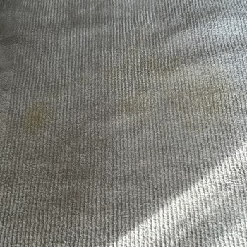 Dryking Halı Temizleme Hizmetinde Yetersiz Performans Ve Kötü Müşteri Hizmeti