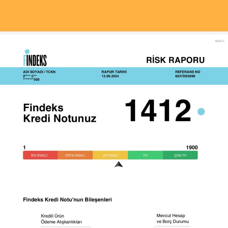 Findeks Puanımda Mavi Nokta Sorunu