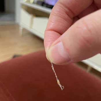 Polmak Gıda Gold Kremfıstık Kavanozunda Plastik Parçası Şoku