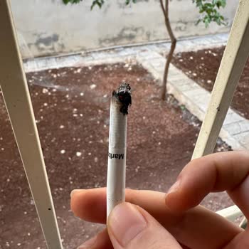 Philip Morris Touch Blue Tütün Değil Odun İçiriyor