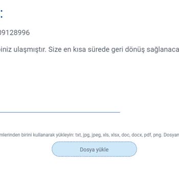SunExpress Hava Yolları Sunulamayan Rail&Fly Hizmeti Ve İadesinin Alınamaması