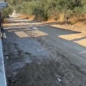 Edremit Belediyesi Yol, Elektrik Direği, Çöp Konteyneri Yok!