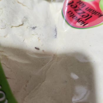 Bağdat Baharat İçinde Canlı Böcek