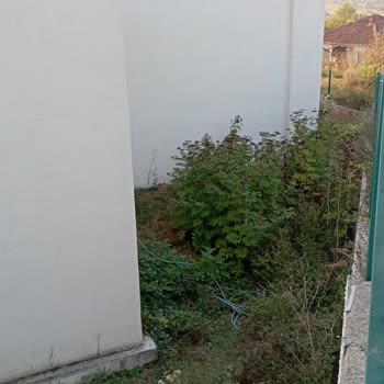 Kandıra Belediyesi Kaymaz Araman Köyü Düğün Salonu