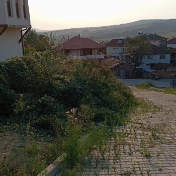 Kandıra Belediyesi Kaymaz Araman Köyü Düğün Salonu