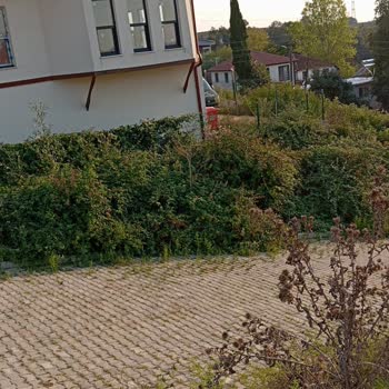 Kandıra Belediyesi Kaymaz Araman Köyü Düğün Salonu