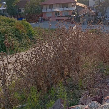 Kandıra Belediyesi Kaymaz Araman Köyü Düğün Salonu