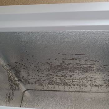 Regal Vestel Garantili Ürün Mağduriyeti