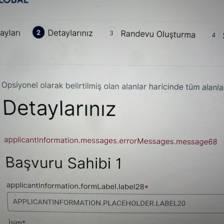 VFS Global Vize Randevu Hatası