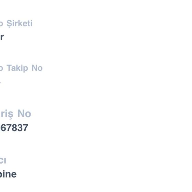 Finepine Store Finepine Sipariş Takip Edemiyorum