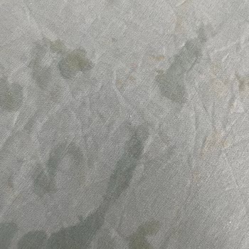 Tefal Kazanlı Ütü Pro Express Protect GV9230