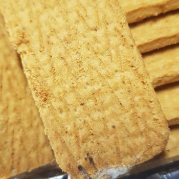 Ülker Mcvities Kurtlu Güveli Çıktı