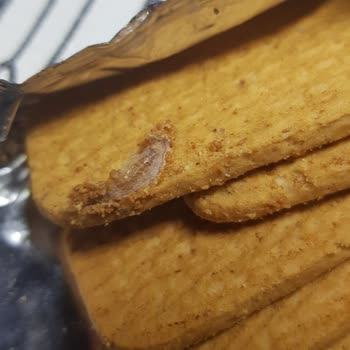 Ülker Mcvities Kurtlu Güveli Çıktı