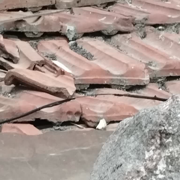 Poyraz WiFi İnternet Çekmiyor Teknik Ekip Hiçbir Şey Yapmadan Gelip Gidiyor