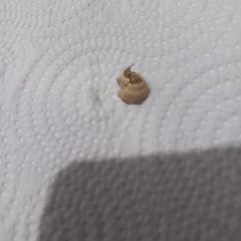 Tamek Garnitür Ürünü Sağlık Riski Taşıyor!