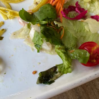 Torium AVM Green Salad Kuru Makarna Ve Bozuk Yeşillik