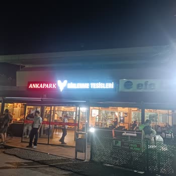 Efe Tur Firma Kaptan Ve Host Arkadaşların Müşterilerine Verdiği Değer