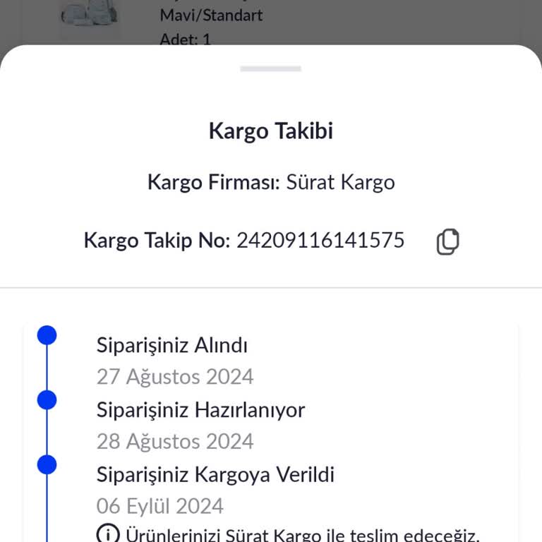 Ahlat Şube Sürat Kargo Kargoları Teslim Etmiyor