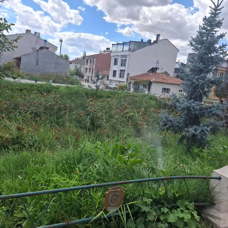 Eskişehir Tepebaşı Belediyesi Ertuğrulgazi Mahallesi'indeki Köprü Altı Dere Sorunu