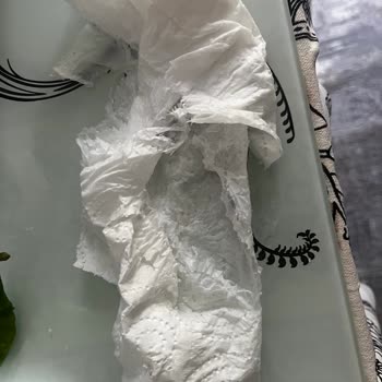 Elde Parçalanan Papia Kağıt Havlu