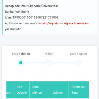 İzmir Ekonomi Üniversitesi Fahiş Kart Ödemeleri