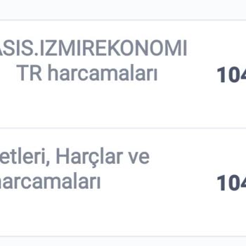 İzmir Ekonomi Üniversitesi Fahiş Kart Ödemeleri