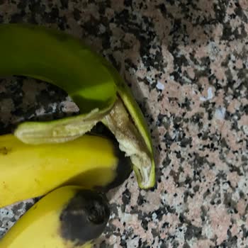 Migros Çürük Ve Kokmuş Muz