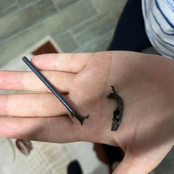 Arçelik Bulaşık Makinesi Hayal Kırıklığı