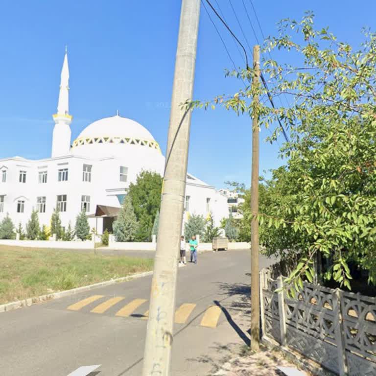 Ergene Belediyesi Sivrisinek İlaçlaması İstiyoruz