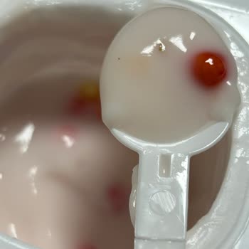 Danone Meyveli Yoğurttan Böcek Çıktı