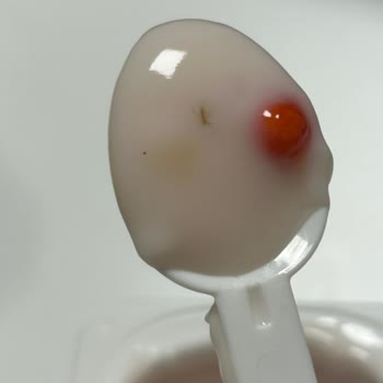 Danone Meyveli Yoğurttan Böcek Çıktı