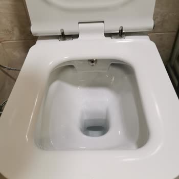 ECA Niobe Kanalsız Klozet Hijyen Sorunu