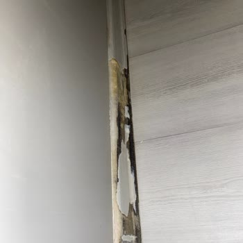 Domestos Kendiliğinden Eriyerek Köpüklenerek Parkeme Aktı Ve Mahvetti