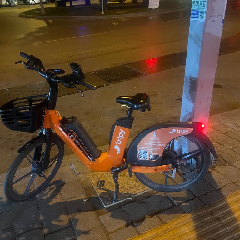 Tripy Mobility Tripy Uygulaması Çöktü Sürüşü Kapatamadım Para Yazmaya Devam Ediyor