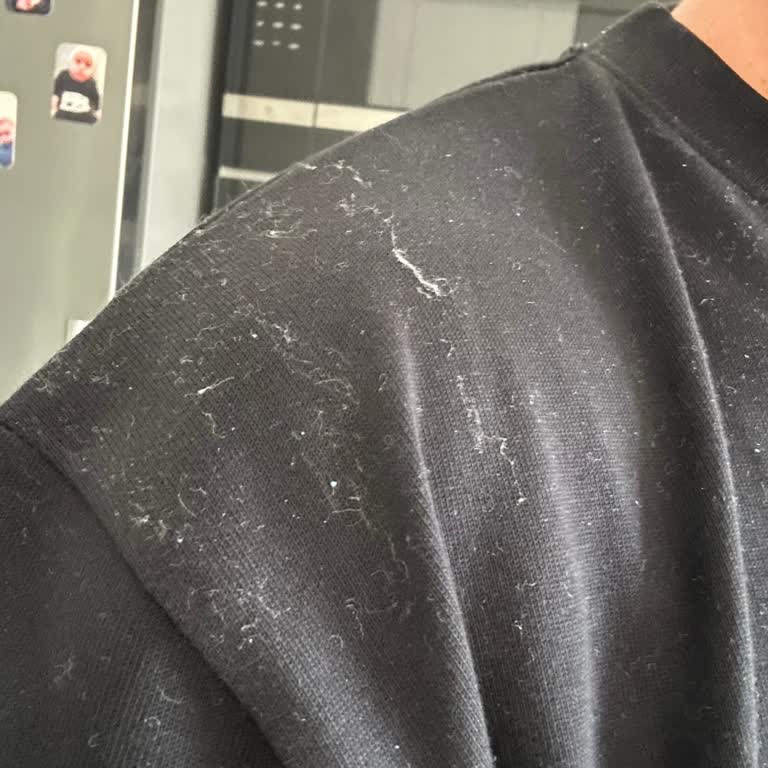 Pierre Cardin Halı Tüy Döküyor Şikayetim Çözülmedi