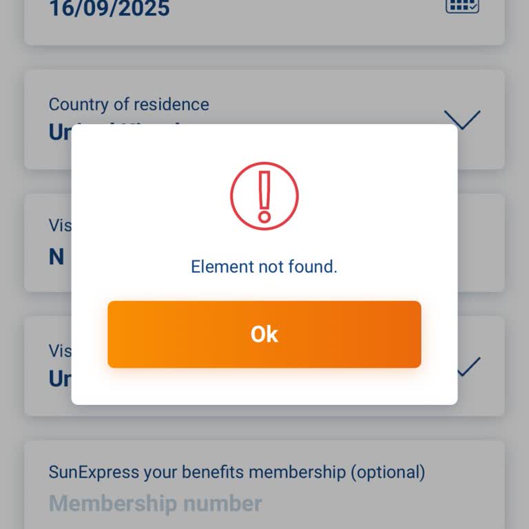 SunExpress Shows Element Not Found Error and I Can’t Check In Online or on the App