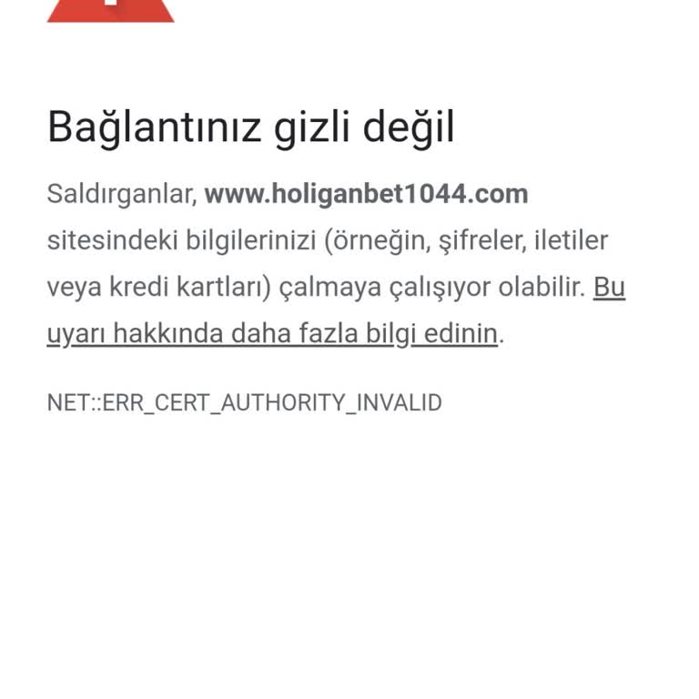 Holiganbet Siteye Giriş Yapamıyorum